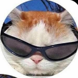 Meet your Posher, Logan